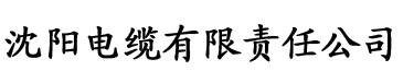 爱情公寓之极品曾小贤电缆厂logo